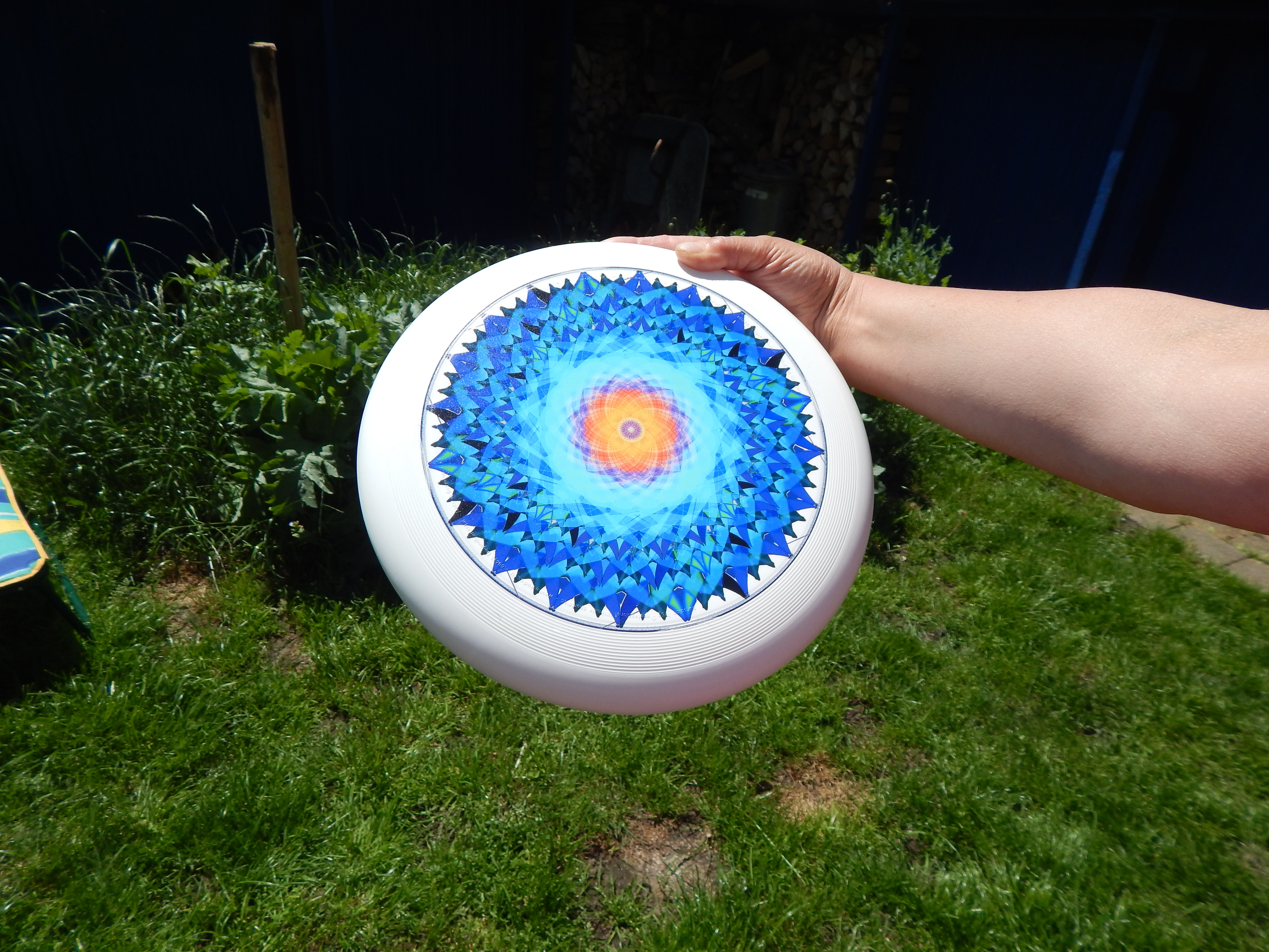 Das Mandala "die Schoepfung" auf einer Frisbee abgebildet