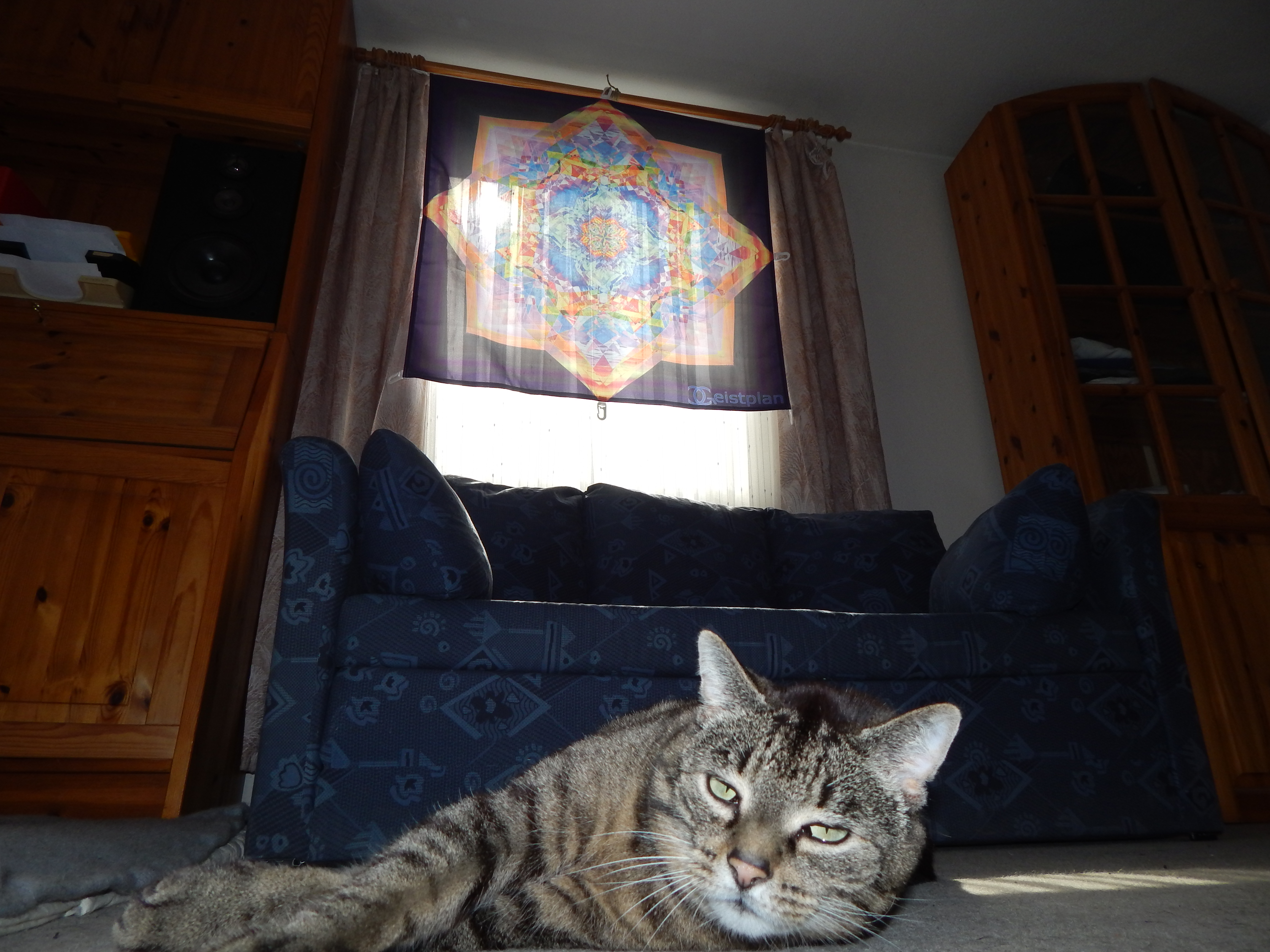 Bild von einem hinterleuchtenden Tuch (durch die Sonne) das am Fenster hängt, welches ein komplexes buntes Mandala als Aufdruck hat. Davor ist eine verplanter Kater :D