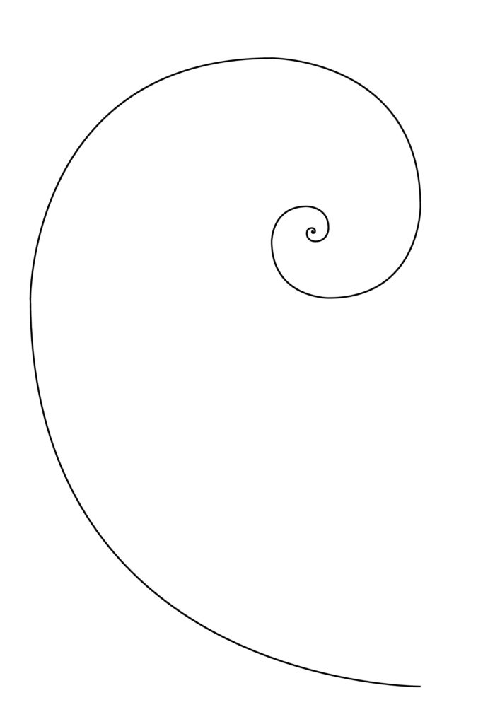Fibonacci Spirale als Download Anleitung: eine Fibonacci Spirale konstruieren und zeichnen