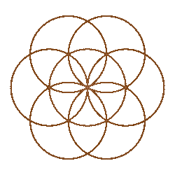 Bild zeigt, wie aus der Blume des Lebens ein Torus entsteht. Bedeutung der heiligen Geometrie