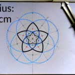 Bildfolge von Kreisen und Geraden, die aufzeigen wie man eine "Venusblume" zeichnen kann. Anleitung: Eine Venusblume zeichnen