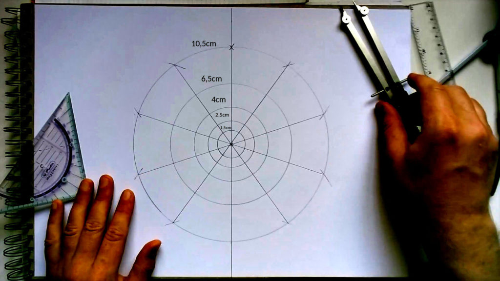 Bild von Kreisen in einander die in 10 Teile geteilt wurden. Jeder Kreis ist mit seinem Radius beschriftet. Anleitung: eine Venusblume zeichnen